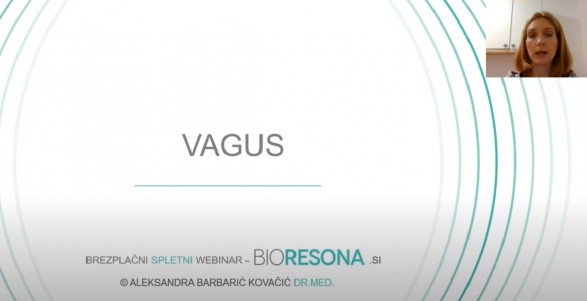 Živec Vagus